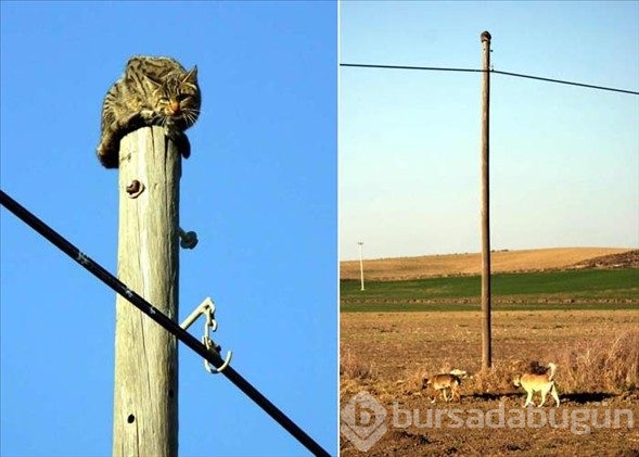 Yurdum insanı