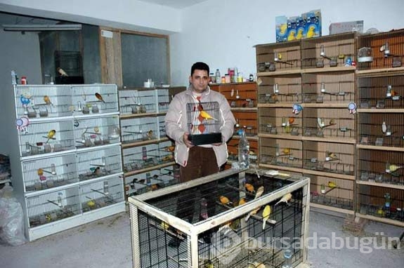 Yurdum insanı