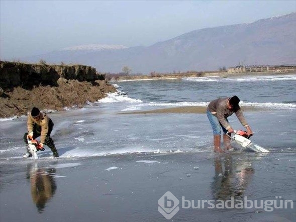 Yurdum insanı