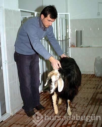 Yurdum insanı