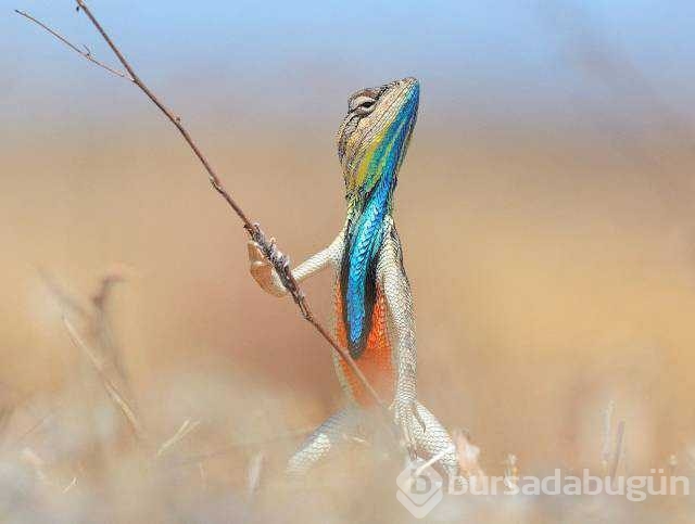 Günün en çok paylaşılan fotoğrafları