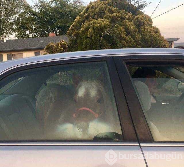 Günün en çok paylaşılan fotoğrafları