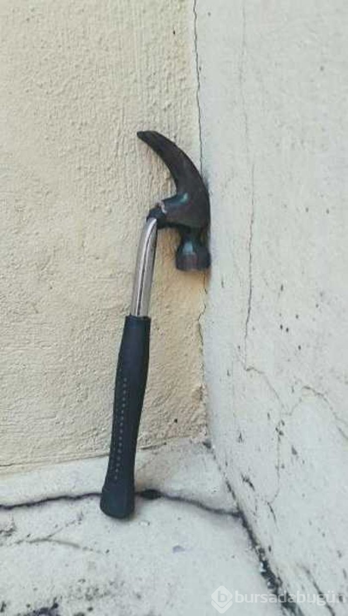 Günün en çok paylaşılan fotoğrafları