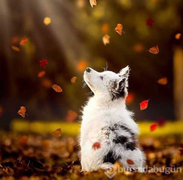 Günün en çok paylaşılan fotoğrafları