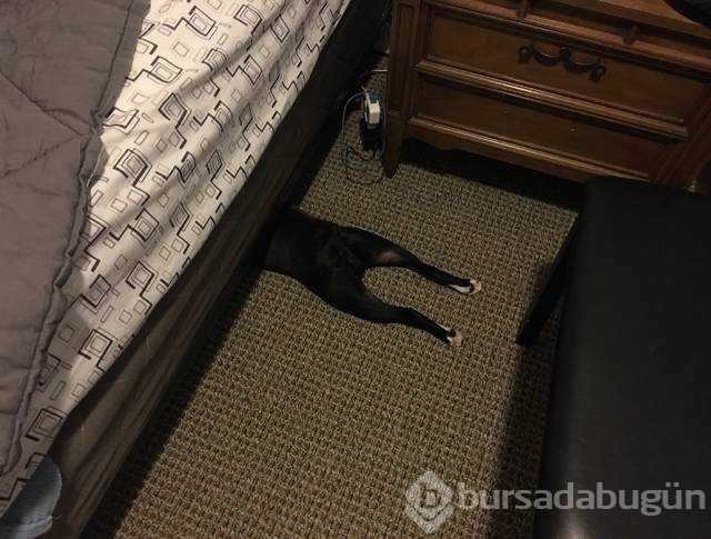 Günün en çok paylaşılan fotoğrafları