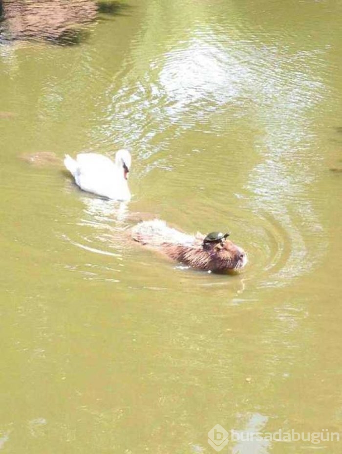 Günün en çok paylaşılan fotoğrafları