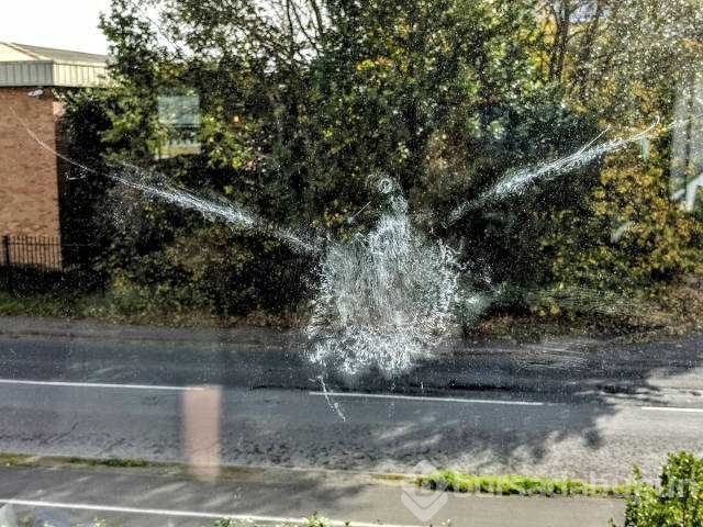 Günün en çok paylaşılan fotoğrafları