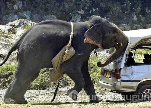 İnanılmaz trafik kazaları
