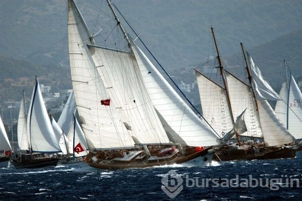 Yelken yarışlarından güzel görüntüler