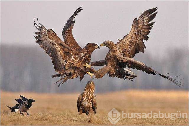 En çok paylaşılan fotoğraflar!
