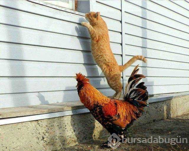 En çok paylaşılan fotoğraflar!