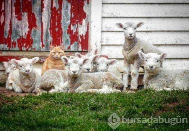En çok paylaşılan fotoğraflar!