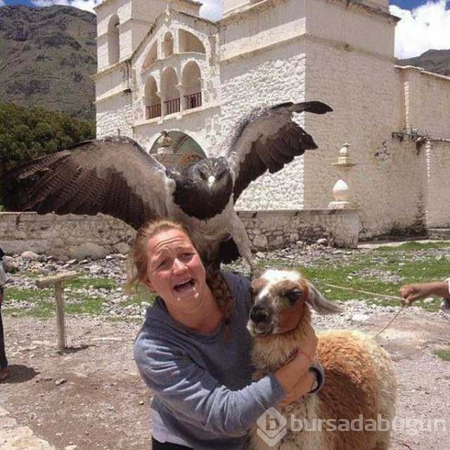 En çok paylaşılan fotoğraflar!