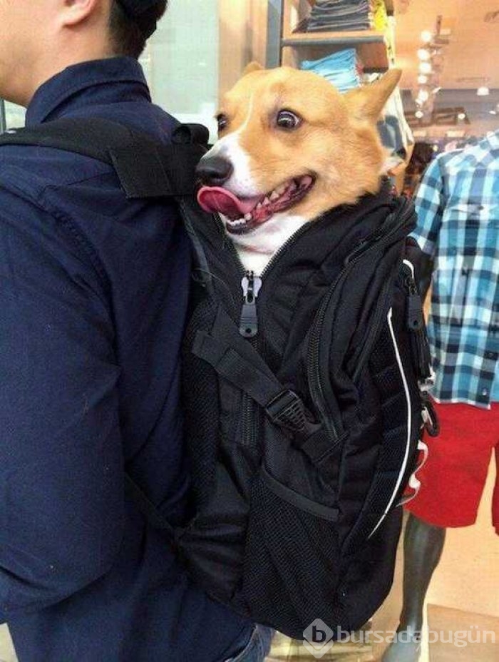 En çok paylaşılan fotoğraflar!