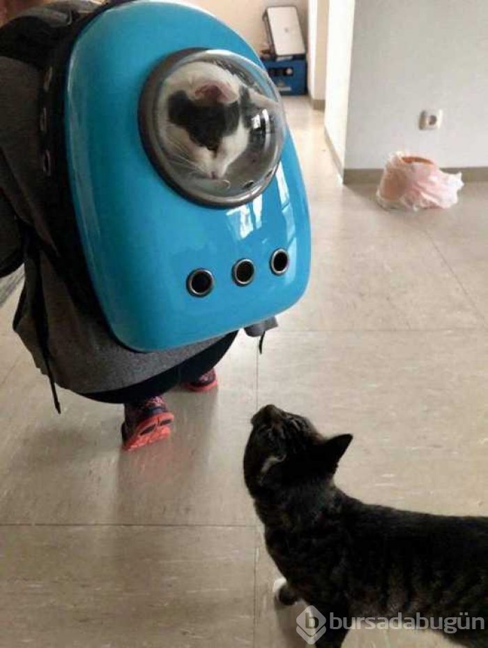 En çok paylaşılan fotoğraflar!
