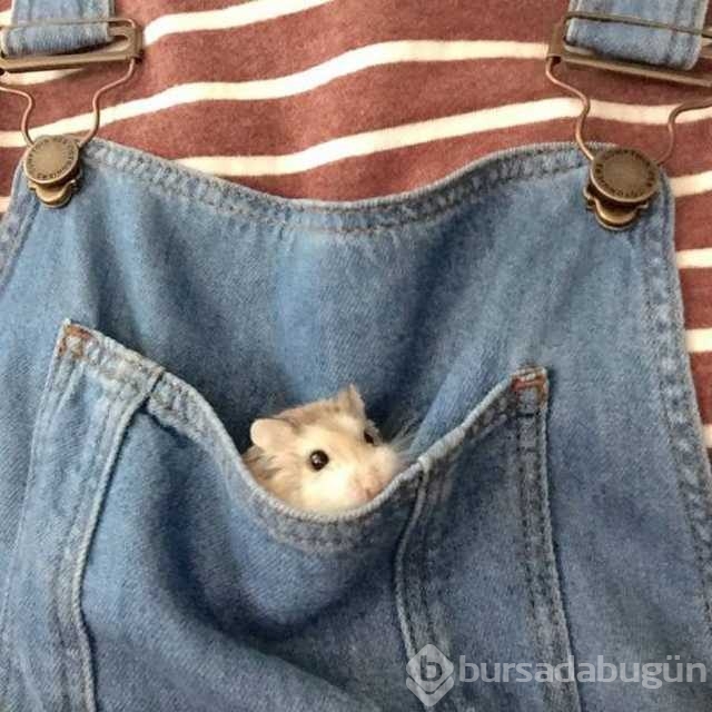 En çok paylaşılan fotoğraflar!