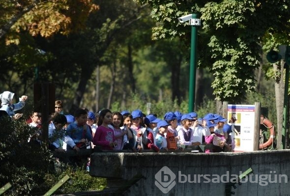 Bursa'da hayvanat bahçesine büyük ilgi
