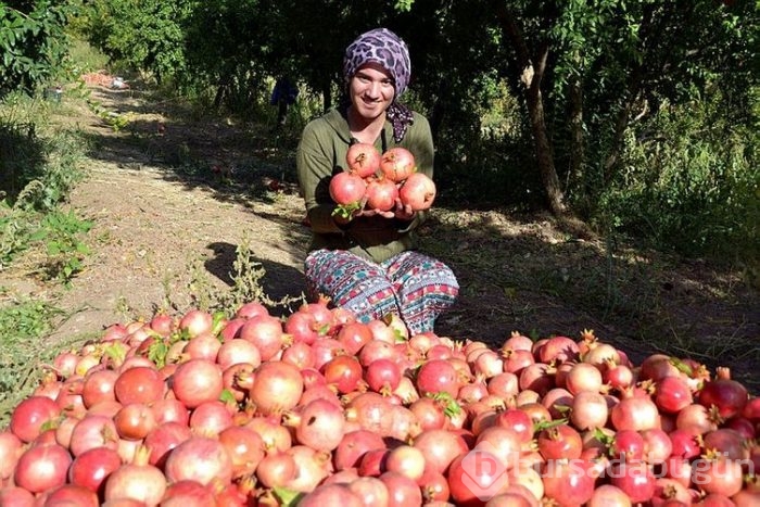 Burada herkesin yüzü gülüyor! 