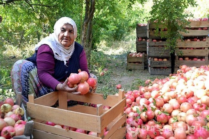 Burada herkesin yüzü gülüyor! 