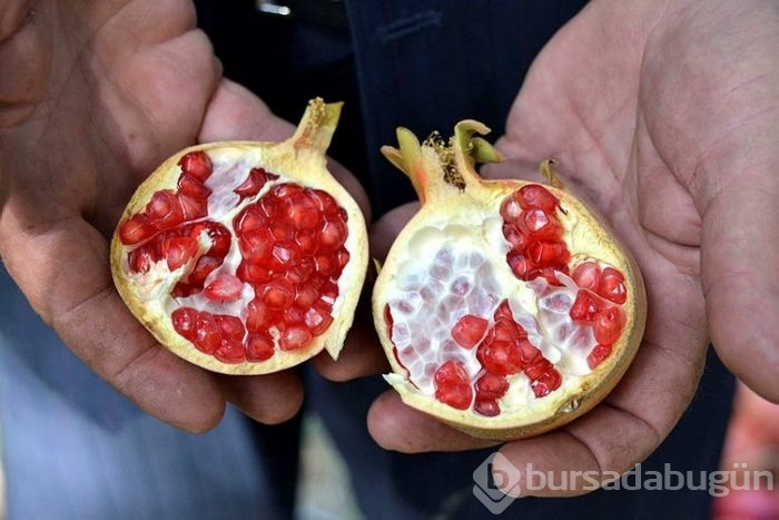 Burada herkesin yüzü gülüyor! 