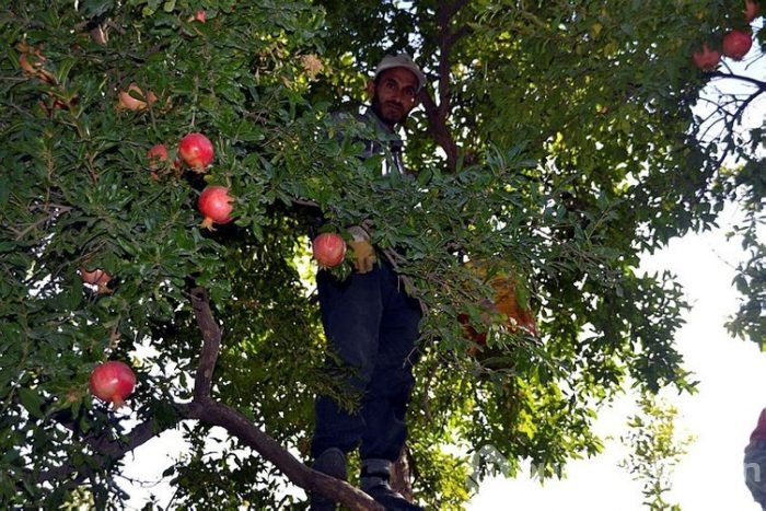 Burada herkesin yüzü gülüyor! 