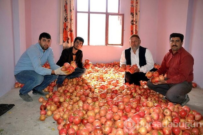 Burada herkesin yüzü gülüyor! 