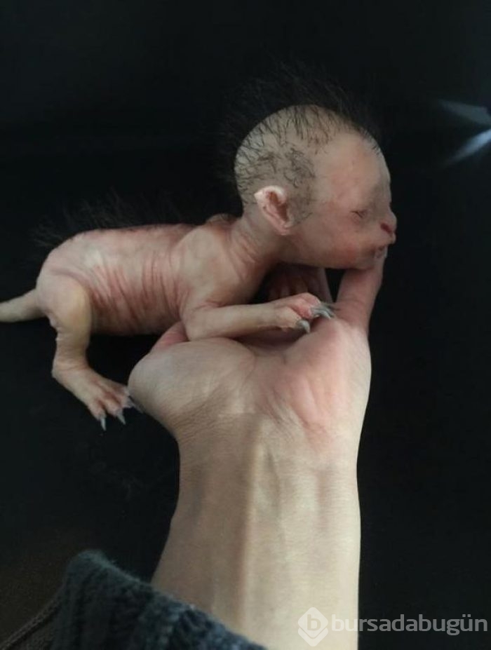 Bu fotoğraf sosyal medyayı salladı ancak