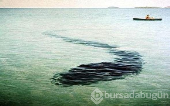 Bu fotoğraf sosyal medyayı salladı ancak