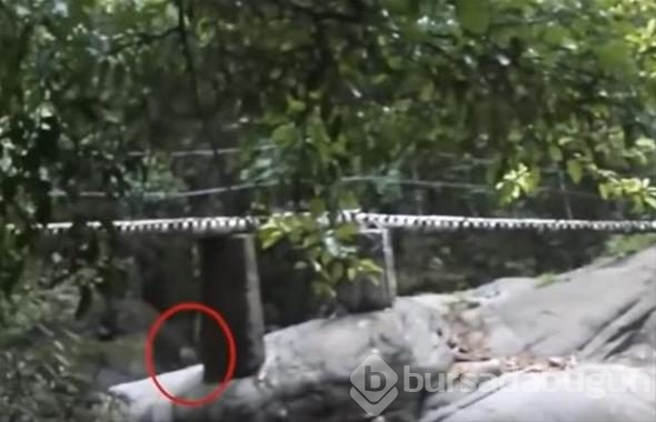Bu fotoğraf sosyal medyayı salladı ancak