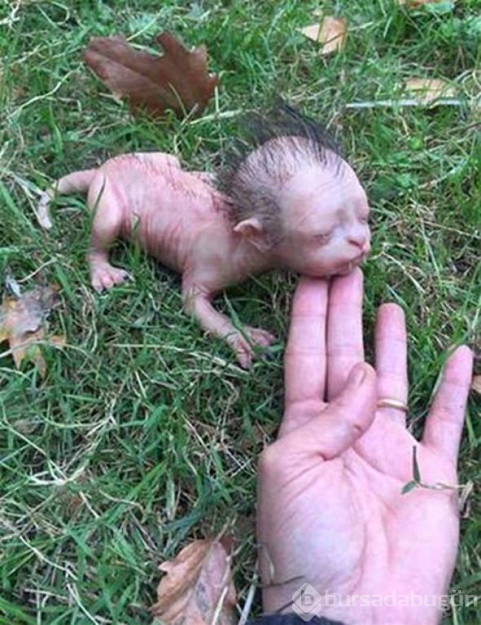 Bu fotoğraf sosyal medyayı salladı ancak