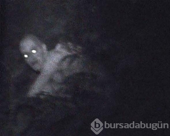 Bu fotoğraf sosyal medyayı salladı ancak