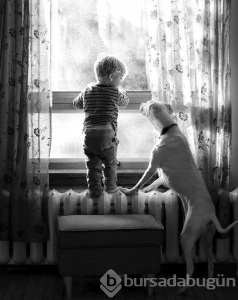 Barınaktan alınan köpeğin kalpleri ısıtan dostluğu