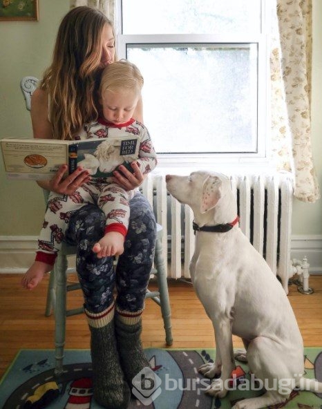 Barınaktan alınan köpeğin kalpleri ısıtan dostluğu