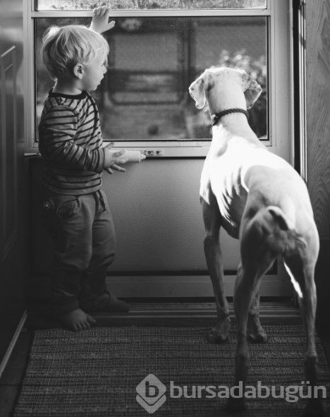 Barınaktan alınan köpeğin kalpleri ısıtan dostluğu