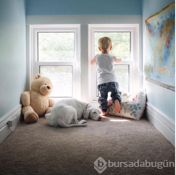 Barınaktan alınan köpeğin kalpleri ısıtan dostluğu