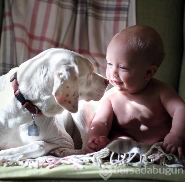 Barınaktan alınan köpeğin kalpleri ısıtan dostluğu