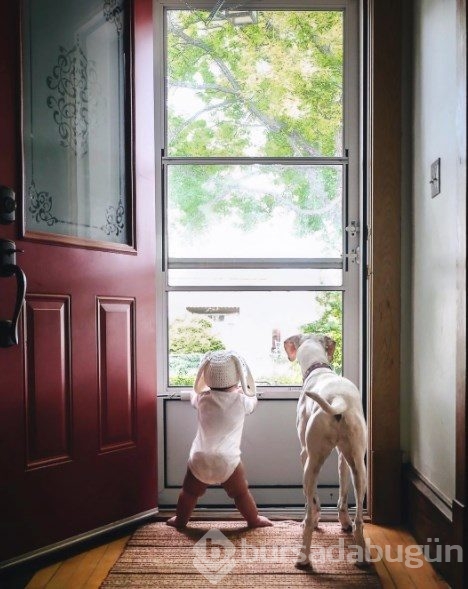 Barınaktan alınan köpeğin kalpleri ısıtan dostluğu
