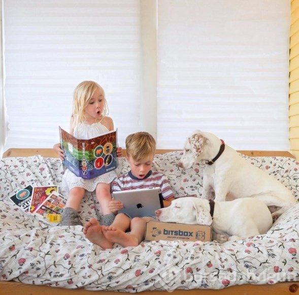 Barınaktan alınan köpeğin kalpleri ısıtan dostluğu