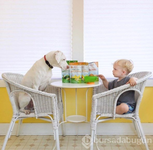 Barınaktan alınan köpeğin kalpleri ısıtan dostluğu