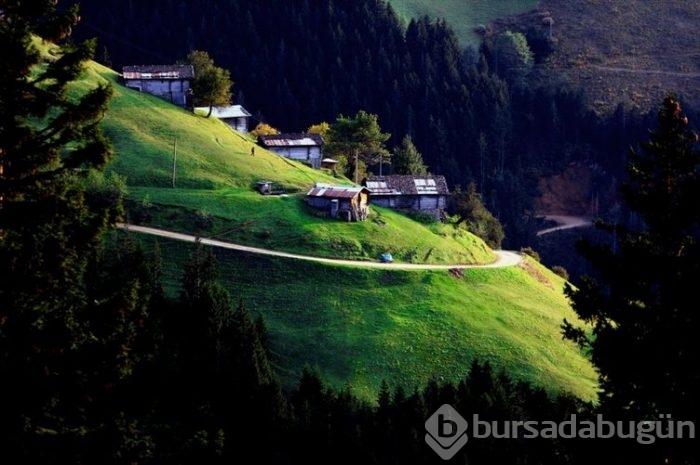 Trabzon 'da sonbahar güzelliği