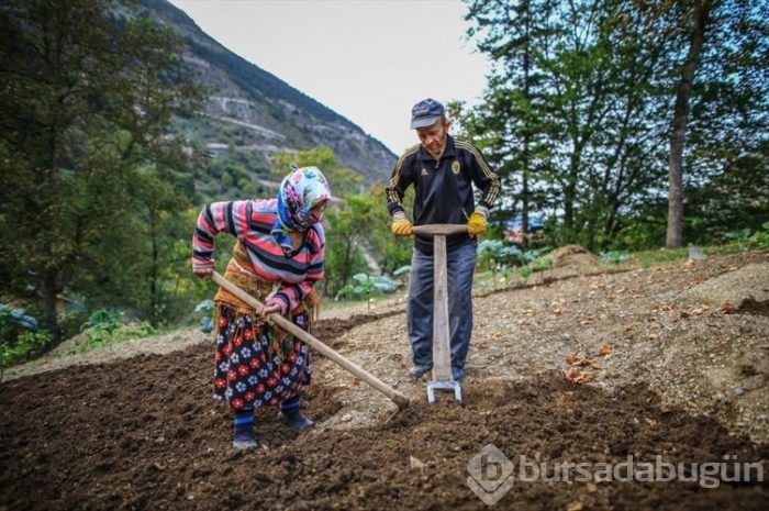 Trabzon 'da sonbahar güzelliği