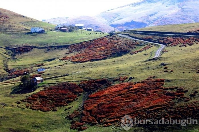 Trabzon 'da sonbahar güzelliği