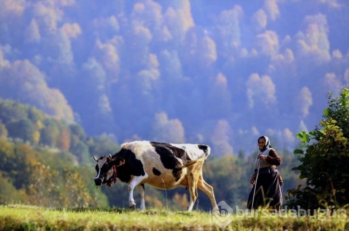Trabzon 'da sonbahar güzelliği