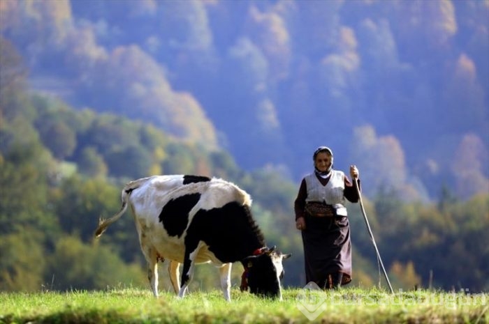 Trabzon 'da sonbahar güzelliği