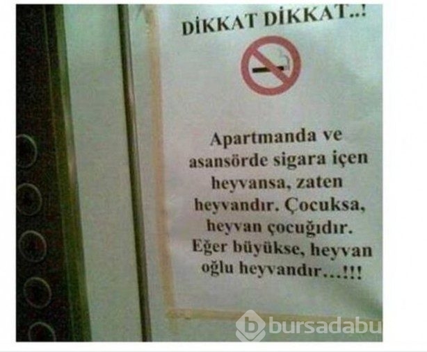 Yurdum insanı güldüren kareler