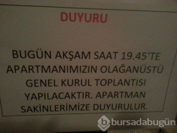 Yurdum insanı güldüren kareler