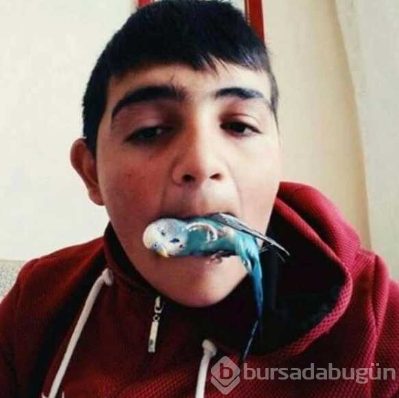 Zalımlar bir türlü durdurulamıyor