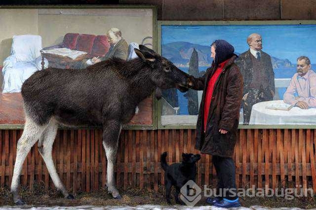 Günün en çok paylaşılan fotoğrafları