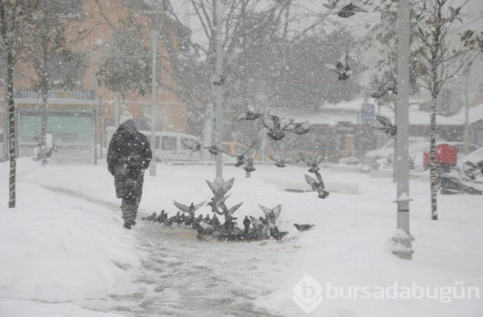 Bu kış sert geçmeyecek