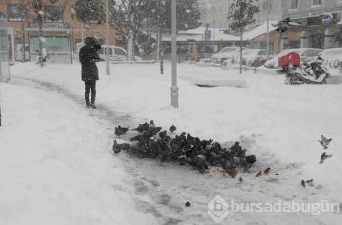 Bu kış sert geçmeyecek